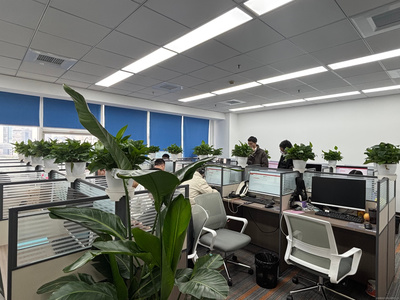 上海屹坦商務(wù)咨詢 專業(yè)服務(wù)助力企業(yè)高效發(fā)展